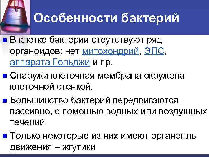 Особенности бактерий В клетке бактерии отсутствуют ряд органоидов: нет митохондрий, ЭПС, аппарата Гольджи и