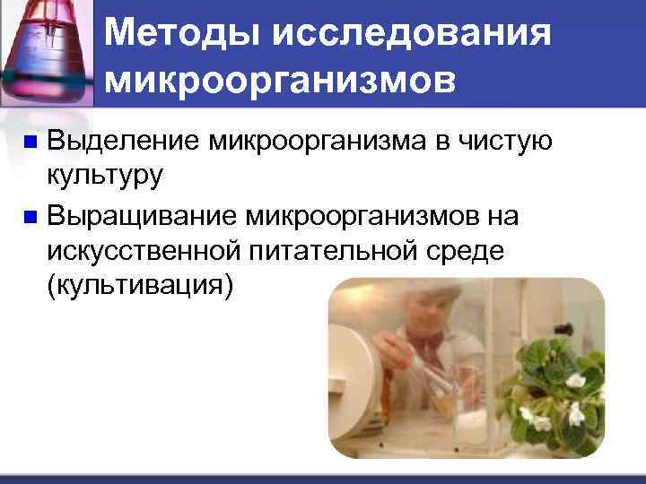 Методы исследования микроорганизмов Выделение микроорганизма в чистую культуру n Выращивание микроорганизмов на искусственной питательной