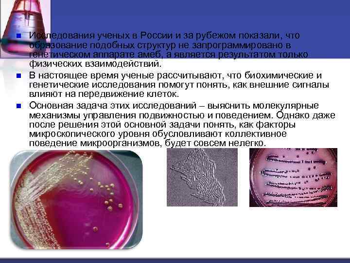 n n n Исследования ученых в России и за рубежом показали, что образование подобных