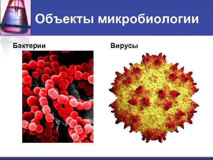 Ибп что это в микробиологии