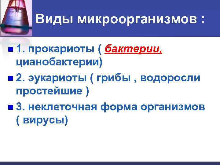 Виды микроорганизмов : n 1. прокариоты ( бактерии, цианобактерии) n 2. эукариоты ( грибы