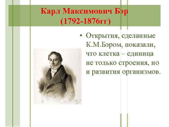 Карл Максимович Бэр (1792 -1876 гг) • Открытия, сделанные К. М. Бэром, показали, что