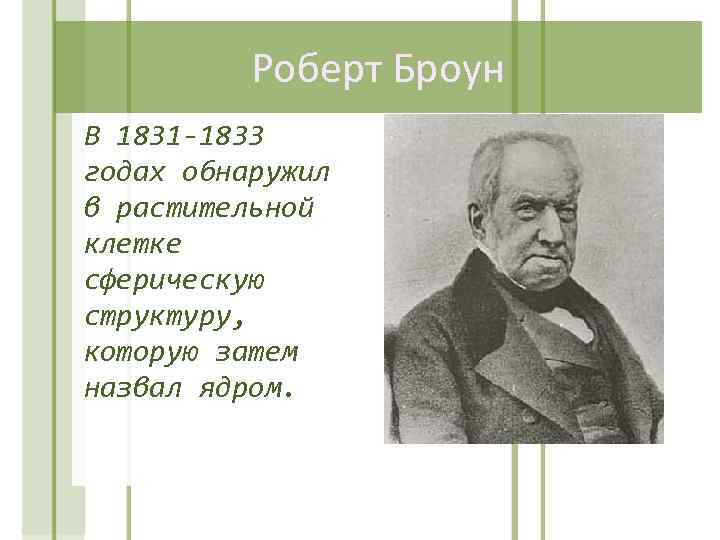 Роберт Броун В 1831 -1833 годах обнаружил в растительной клетке сферическую структуру, которую затем