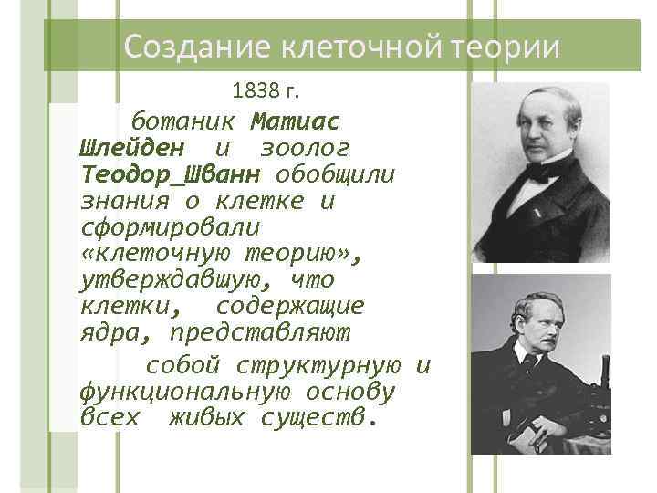 Создание клеточной теории 1838 г. ботаник Матиас Шлейден и зоолог Теодор Шванн обобщили знания