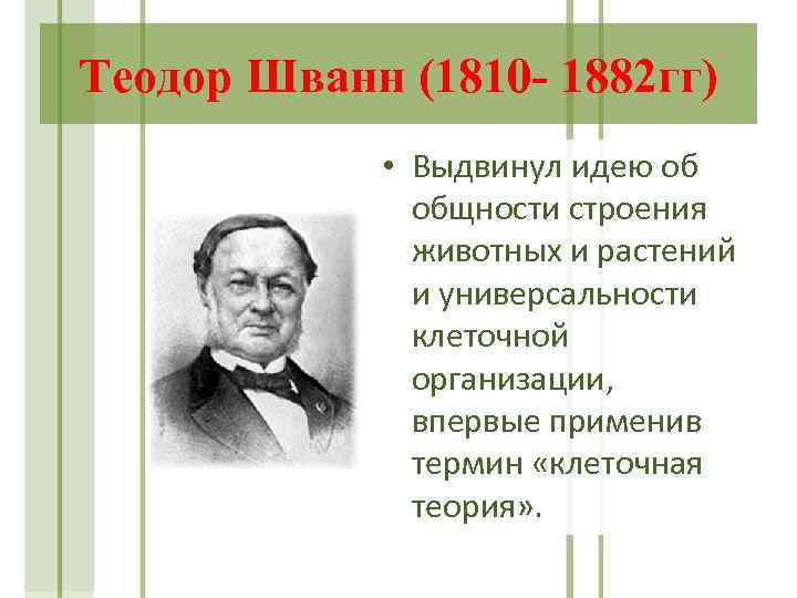 Теодор Шванн (1810 - 1882 гг) • Выдвинул идею об общности строения животных и