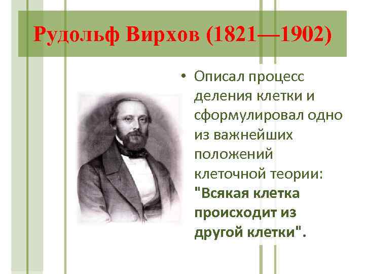 Рудольф Вирхов (1821— 1902) • Описал процесс деления клетки и сформулировал одно из важнейших