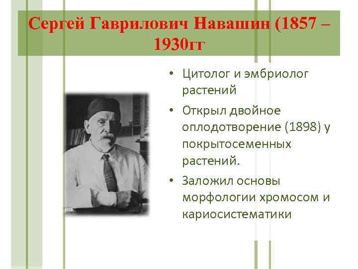 Сергей Гаврилович Навашин (1857 – 1930 гг • Цитолог и эмбриолог растений • Открыл