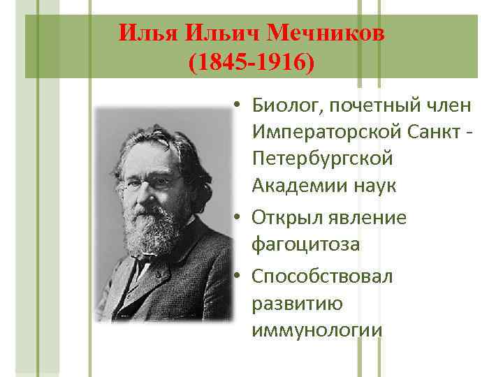 Илья Ильич Мечников (1845 -1916) • Биолог, почетный член Императорской Санкт Петербургской Академии наук
