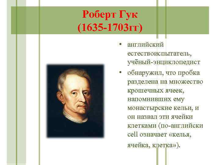 Роберт Гук (1635 -1703 гг) • английский естествоиспытатель, учёный-энциклопедист • обнаружил, что пробка разделена