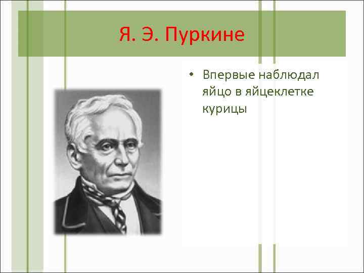 Я. Э. Пуркине • Впервые наблюдал яйцо в яйцеклетке курицы 