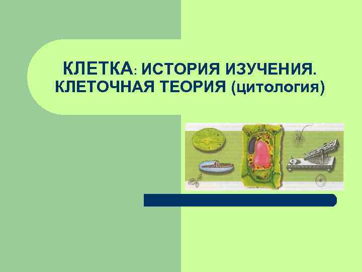 КЛЕТКА: ИСТОРИЯ ИЗУЧЕНИЯ. КЛЕТОЧНАЯ ТЕОРИЯ (цитология) 