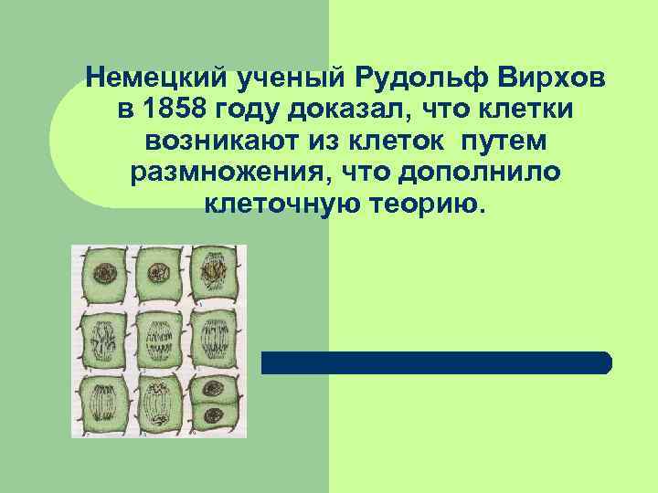 Немецкий ученый Рудольф Вирхов в 1858 году доказал, что клетки возникают из клеток путем