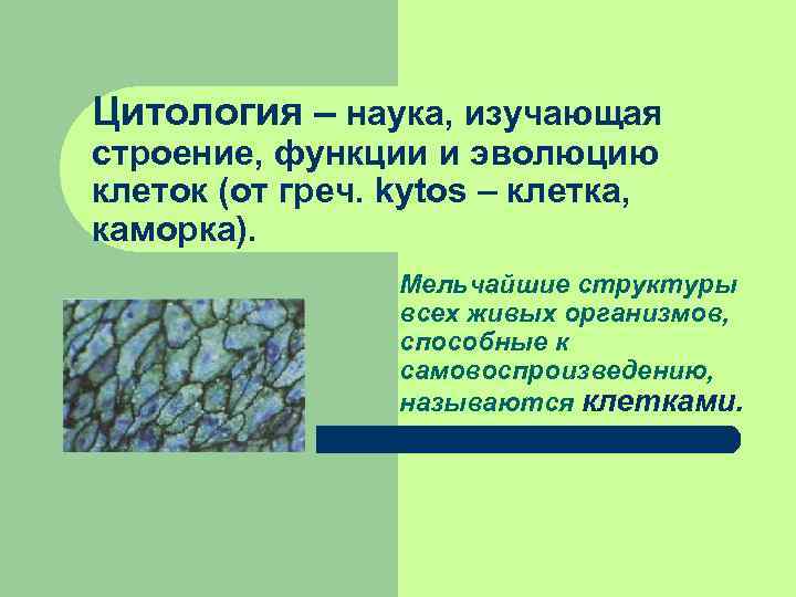 Цитология – наука, изучающая строение, функции и эволюцию клеток (от греч. kytos – клетка,