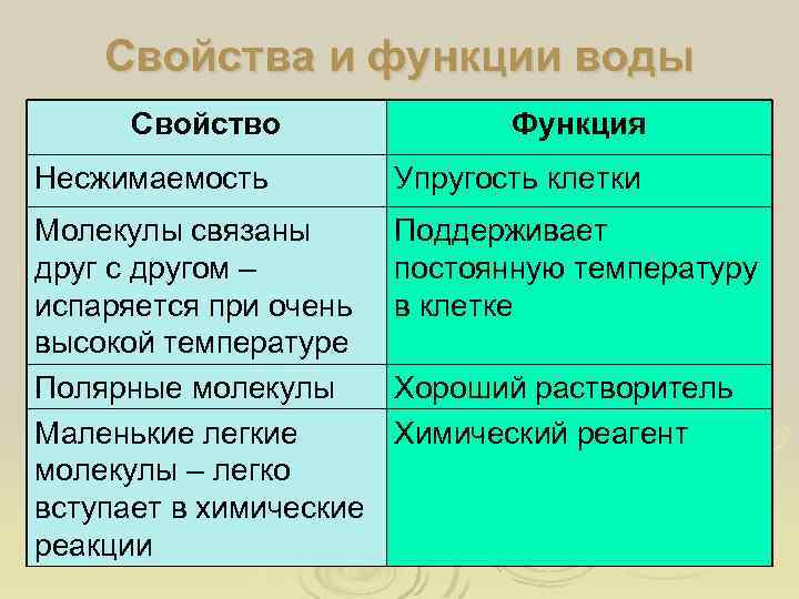 Свойства и функции воды Свойство Функция Несжимаемость Упругость клетки Молекулы связаны друг с другом