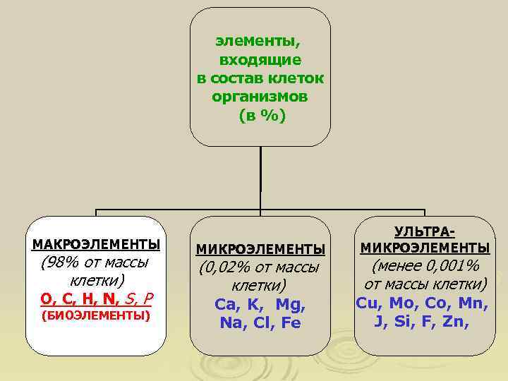 Презентация химический состав организма человека