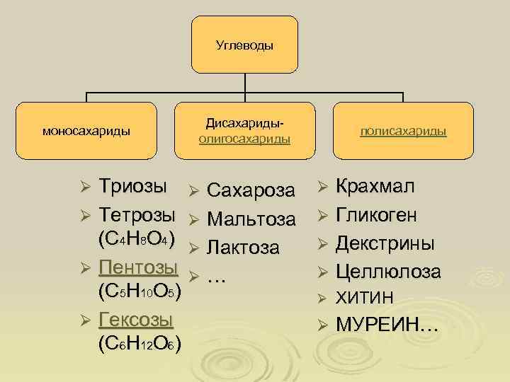 Углеводы моносахариды Триозы Ø Тетрозы (С 4 Н 8 О 4) Ø Пентозы (С