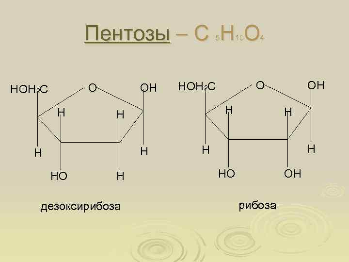 Пентозы – С Н О 5 О НОН 2 С Н ОН Н Н