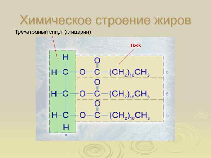 Химическое строение жиров Трёхатомный спирт (глицерин) ВЖК 