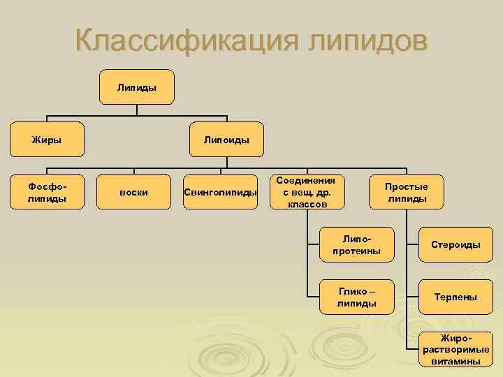 Классификация липидов Липиды Жиры Фосфолипиды Липоиды воски Свинголипиды Соединения с вещ. др. классов Простые