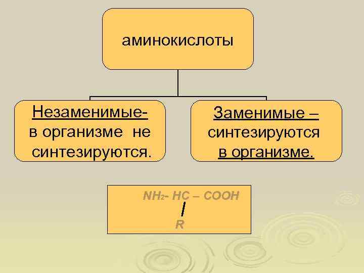 аминокислоты Незаменимыев организме не синтезируются. Заменимые – синтезируются в организме. NH 2 - HC