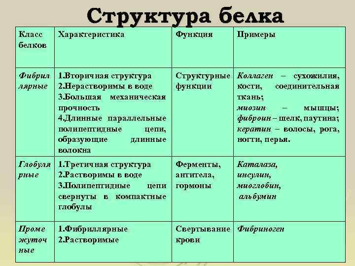 Структура белка Класс белков Характеристика Функция Примеры Фибрил 1. Вторичная структура Структурные Коллаген –