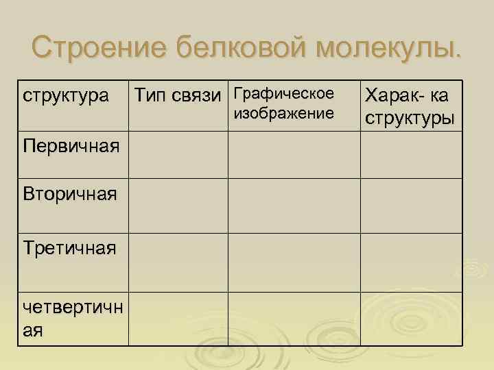 Строение белковой молекулы. структура Первичная Вторичная Третичная четвертичн ая Тип связи Графическое изображение Харак-