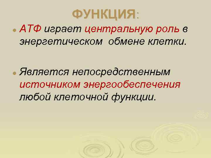 ФУНКЦИЯ: l l АТФ играет центральную роль в энергетическом обмене клетки. Является непосредственным источником