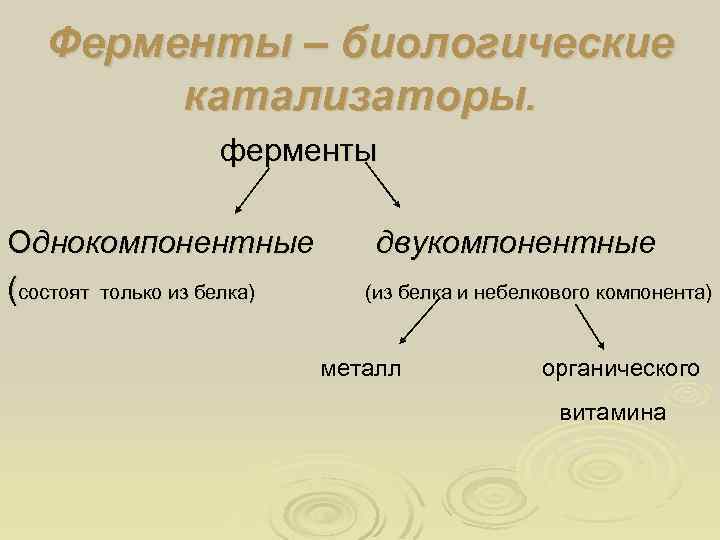 Ферменты – биологические катализаторы. ферменты Однокомпонентные (состоят только из белка) двукомпонентные (из белка и