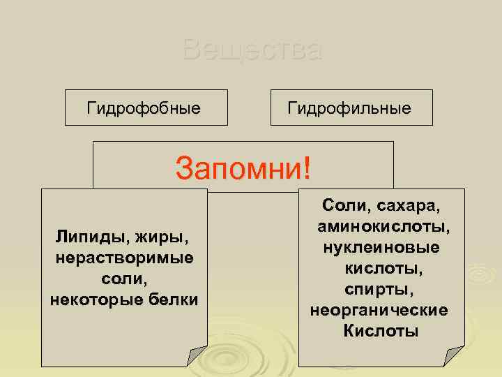 Вещества Гидрофобные Гидрофильные Запомни! Липиды, жиры, нерастворимые соли, некоторые белки Соли, сахара, аминокислоты, нуклеиновые