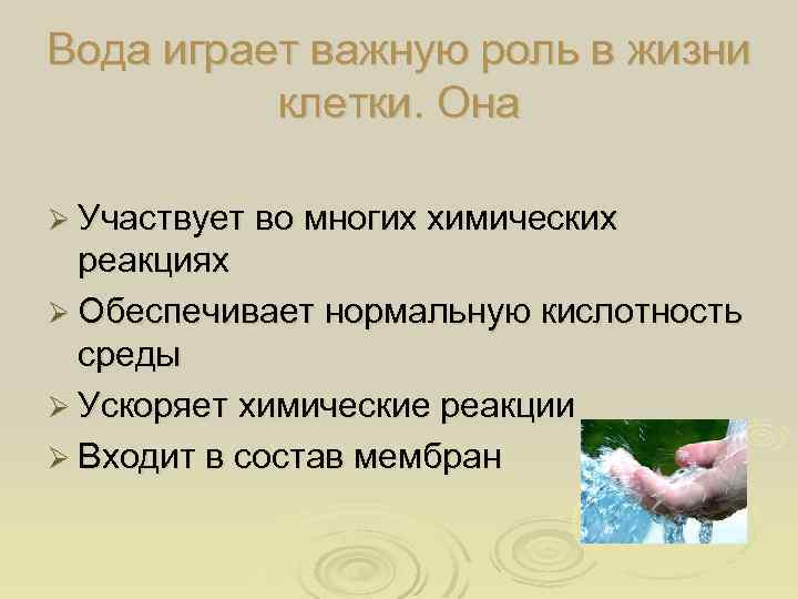 Вода играет важную роль в жизни клетки. Она Ø Участвует во многих химических реакциях