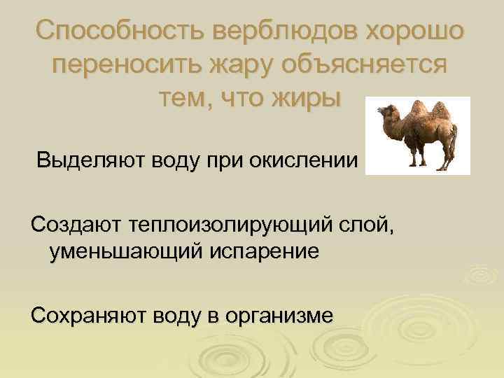 Способность верблюдов хорошо переносить жару объясняется тем, что жиры Выделяют воду при окислении Создают