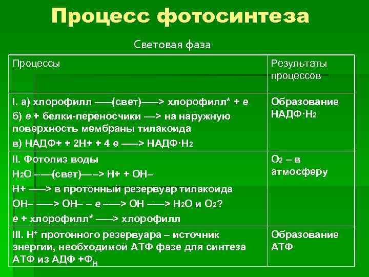 Процесс фотосинтеза Световая фаза Процессы Результаты процессов I. а) хлорофилл –––(свет)–––> хлорофилл* + e