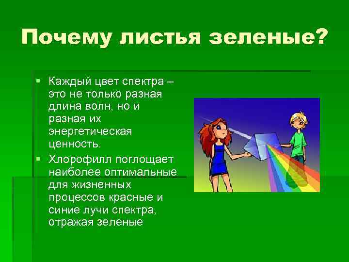 Почему листья зеленые? § Каждый цвет спектра – это не только разная длина волн,