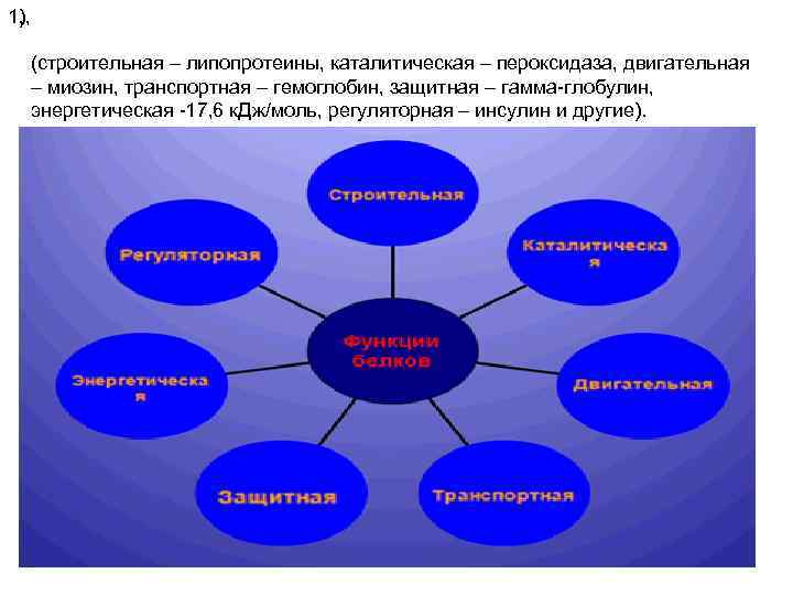 1, 1), (строительная – липопротеины, каталитическая – пероксидаза, двигательная – миозин, транспортная – гемоглобин,