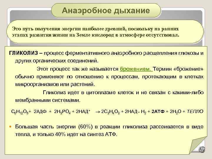 Анаэробное дыхание Это путь получения энергии наиболее древний, поскольку на ранних этапах развития жизни