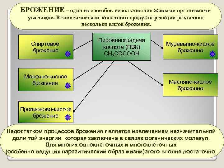 БРОЖЕНИЕ – один из способов использования живыми организмами углеводов. В зависимости от конечного продукта