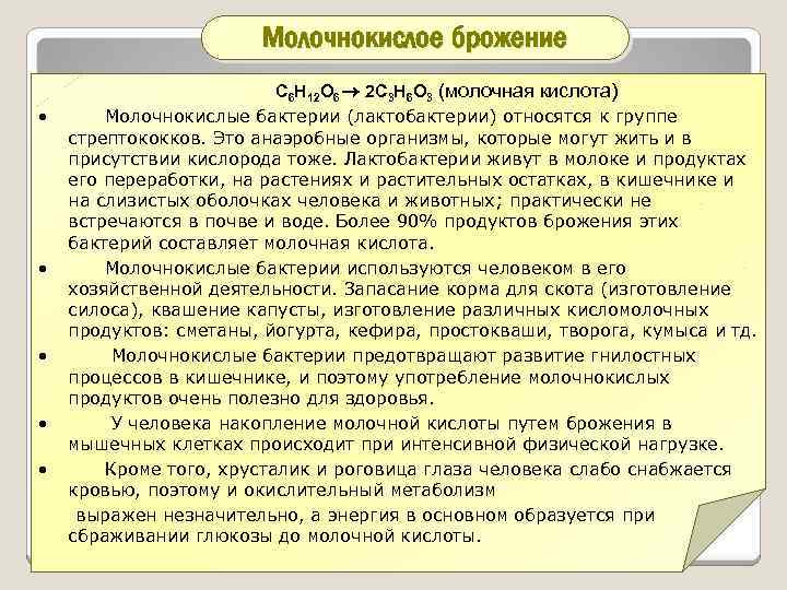 Молочнокислое брожение • • • С 6 Н 12 О 6 2 С 3