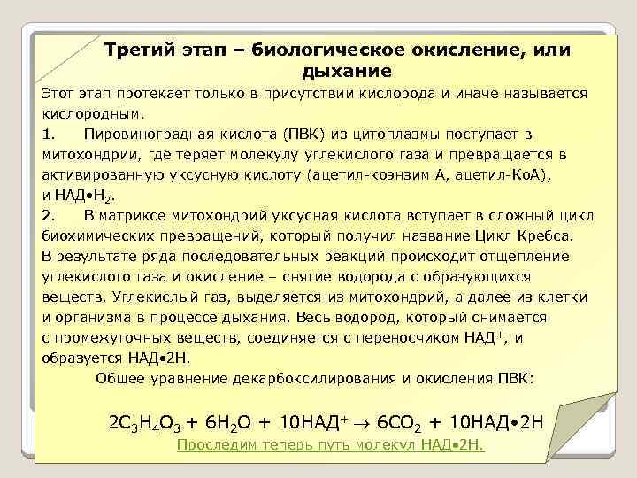 Третий этап – биологическое окисление, или дыхание Этот этап протекает только в присутствии кислорода