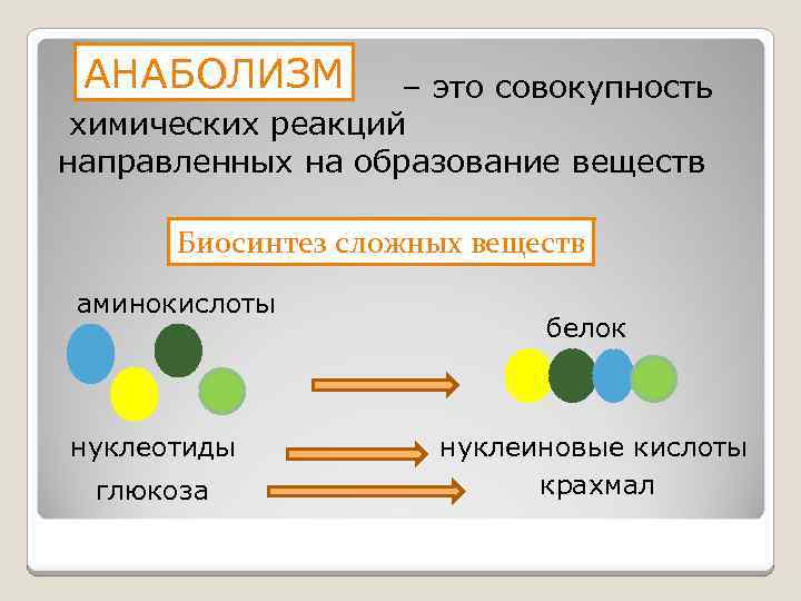 АНАБОЛИЗМ – это совокупность химических реакций направленных на образование веществ Биосинтез сложных веществ аминокислоты