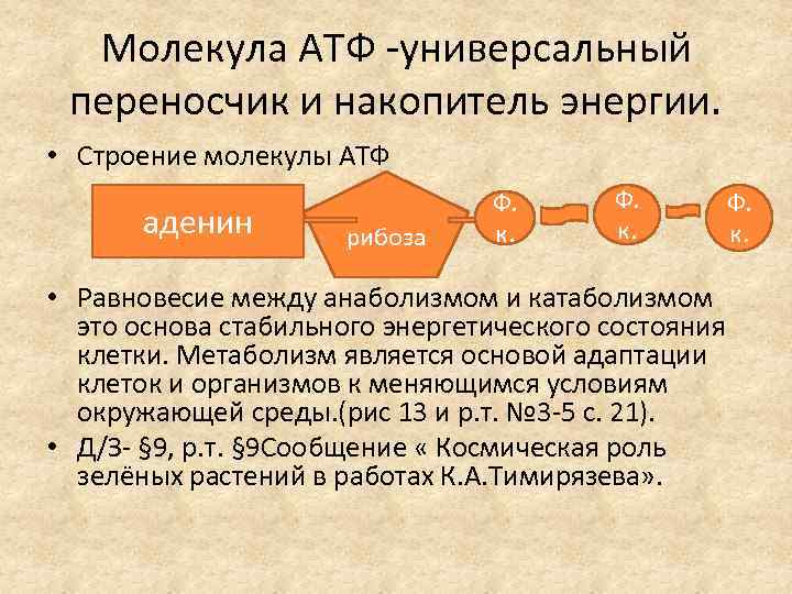 Молекула АТФ -универсальный переносчик и накопитель энергии. • Строение молекулы АТФ аденин рибоза Ф.