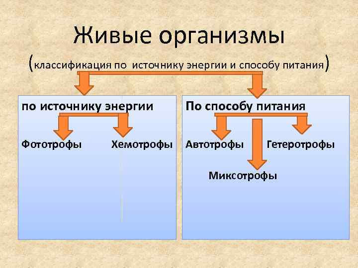 Живые организмы (классификация по источнику энергии и способу питания) по источнику энергии По способу