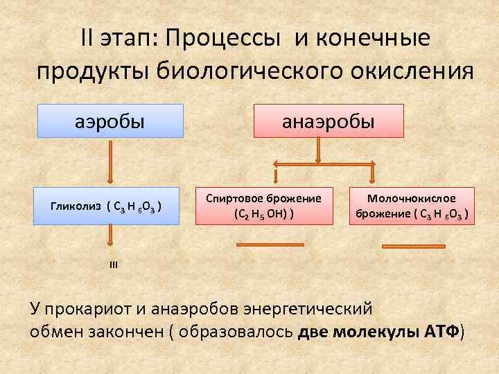 II этап: Процессы и конечные продукты биологического окисления аэробы Гликолиз ( С 3 Н