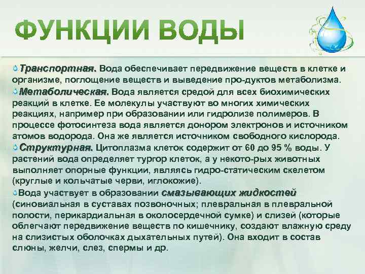 Транспортная. Вода обеспечивает передвижение веществ в клетке и организме, поглощение веществ и выведение про