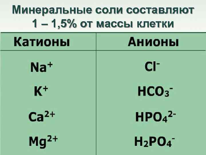 Минеральные соли составляют 1 – 1, 5% от массы клетки 