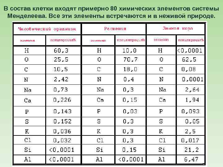 В состав клетки входят примерно 80 химических элементов системы Менделеева. Все эти элементы встречаются