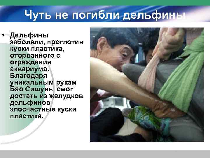 Чуть не погибли дельфины • Дельфины заболели, проглотив куски пластика, оторванного с ограждения аквариума.