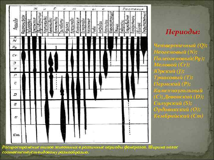 Периоды: Четвертичный (Q); Неогеновый (N); Палеогеновый(Pg); Меловой (Cr); Юрский (J); Триасовый (Т); Пермский (Р);