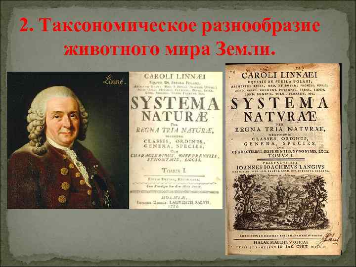 2. Таксономическое разнообразие животного мира Земли. 