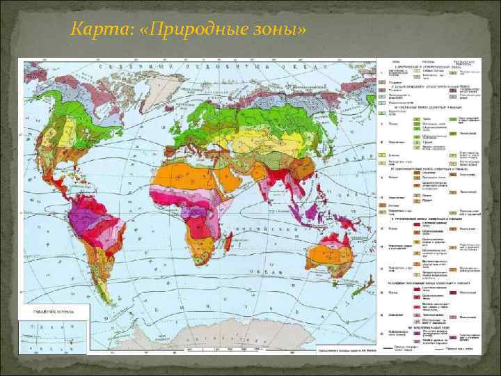Карта: «Природные зоны» 