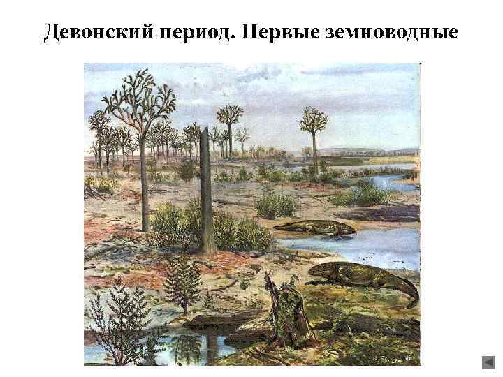 Девонский период. Первые земноводные 